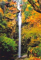 阿弥陀ヶ滝