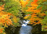 紅葉の渓谷