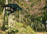 白雲水やすらぎの森